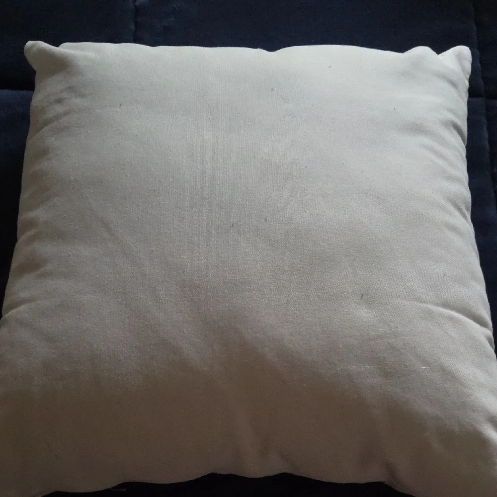 Teal Bird Embroidered Pillow